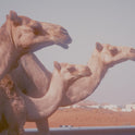 CAMEL Kołdra całoroczna Inter Widex - Senlovo